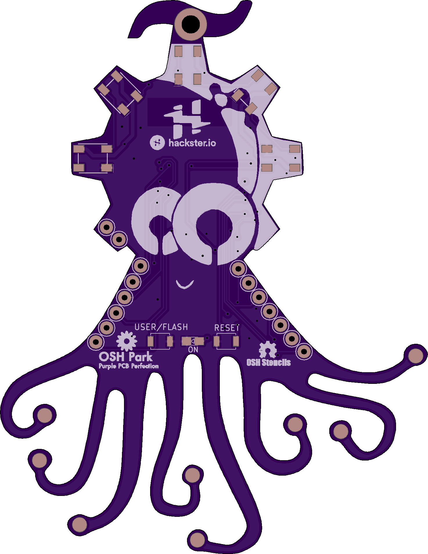 Top - Gustavo Reynaga (1474x1908)