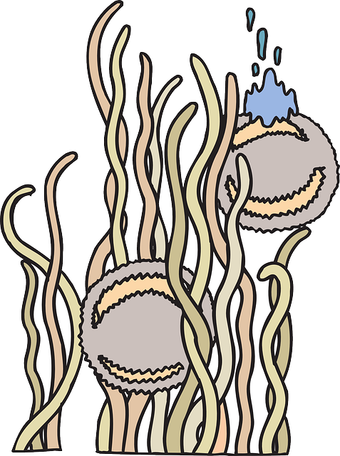 Fuzzy Floating, Anemone, Creatures, Sea, Underwater, - Anemon Laut Png (477x640)