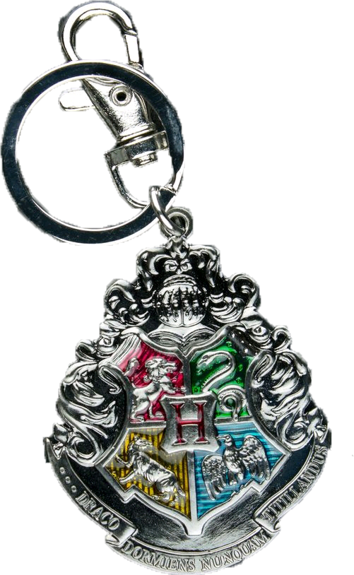 Hogwarts Logo Metal Keychain - Harry Potter Hogwarts Logo Metal Key Ring (501x814)