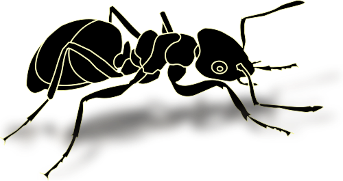 Ants Clipart Transparent Background - Ant Png Transparent (500x265)