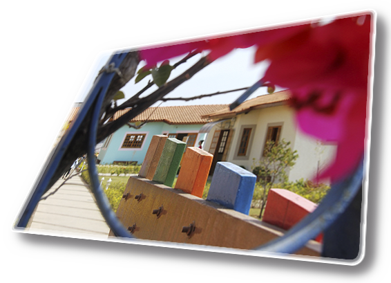 A Mach Assessoria Realiza Um Trabalho De Ação Social, - House (566x409)