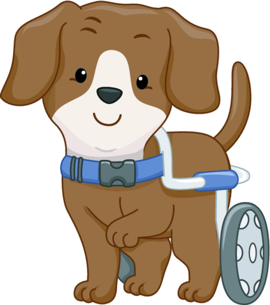 Dog Wheelchair Disability Cartoon Illustration - Cartoon Dog On Wheelchair (886x1000)