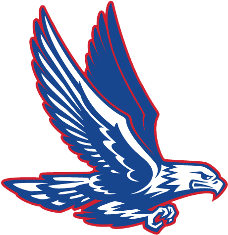 Central Academy Of Excellence Eagles - Central Academy Of Excellence Eagle (505x520)