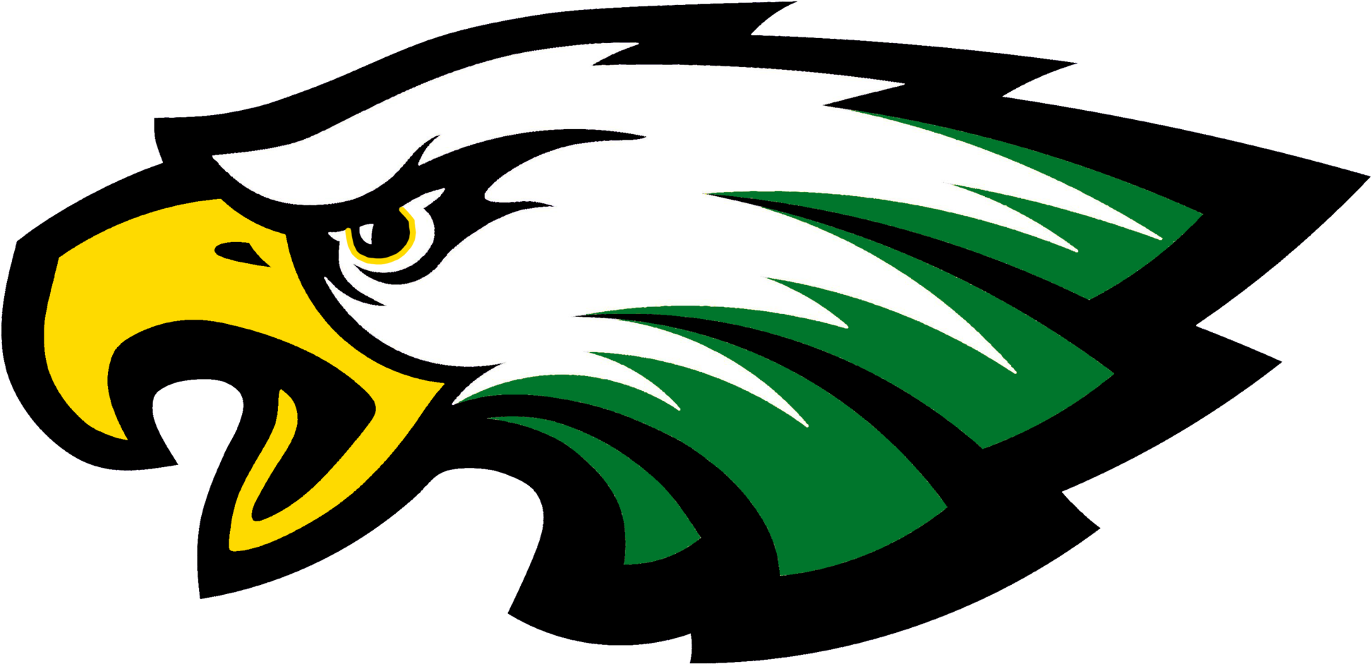 Eastern Alamance High School Eagle (2000x1025)