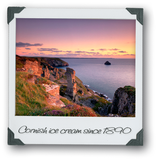 Welcome To The Kelly's Of Bodmin Website - Christmas Day (555x570)