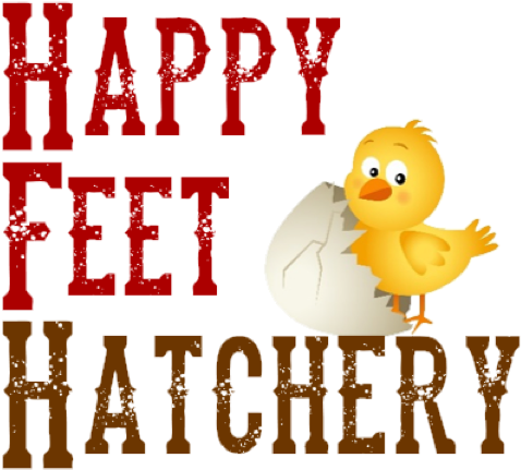 Contact Info - - Personalized Good Cheer Christmas Canvas, Size: 11 (504x459)