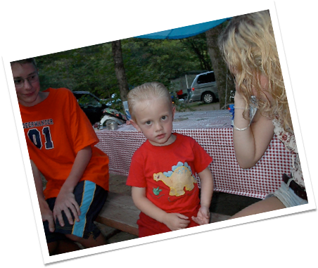 A Fine And Pleasant Misery -patrick Mcmanus - Toddler (452x381)