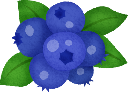 Blueberry - Bilberry (419x300)