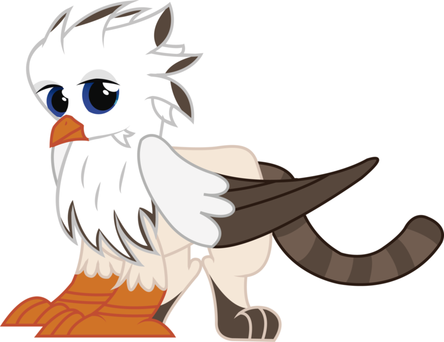 Albatross Griffon - Pacific Gull (900x694)