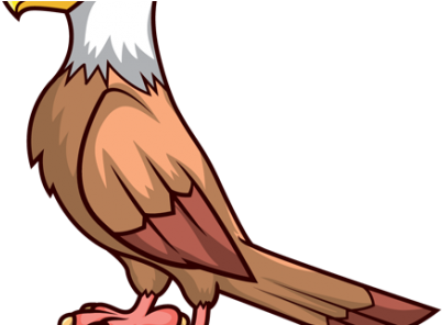 איך מוצאים פולניה - Buzzard (460x295)