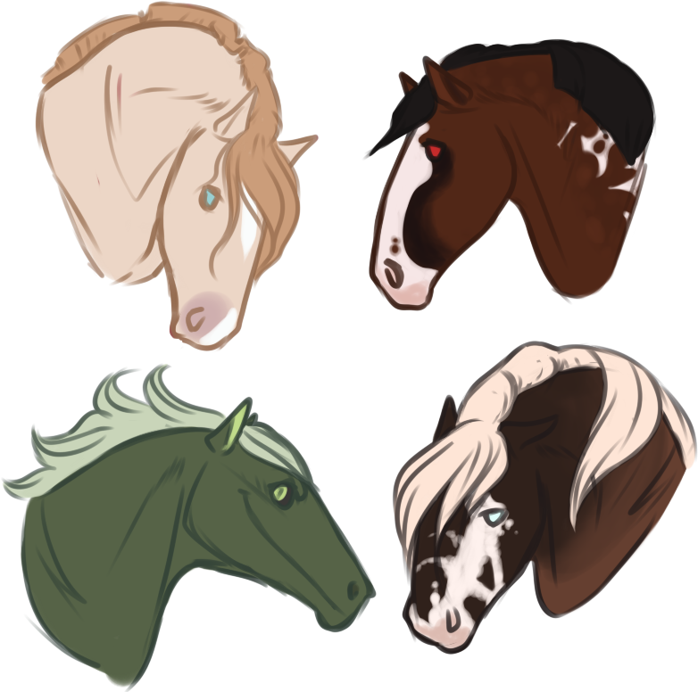 Horses Doodling Doodles By Terracottavulture - Illustration (800x800)