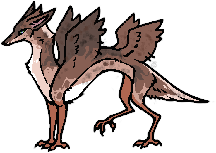 Avelpes Dragon Adopt Closed By Zayzaril - Adoption (1006x578)