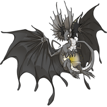 The Accent On It's Own - Dragons (350x350)