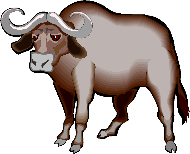 Water Buffalo Clipart Cute - Buffalo Clipart (750x604)