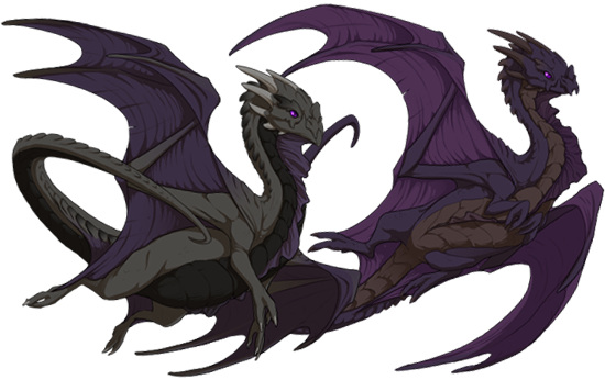 Nocturnes Look Slick And Are A Favorite Breed On Flight - Nocturne Dragon Flight Rising (550x346)