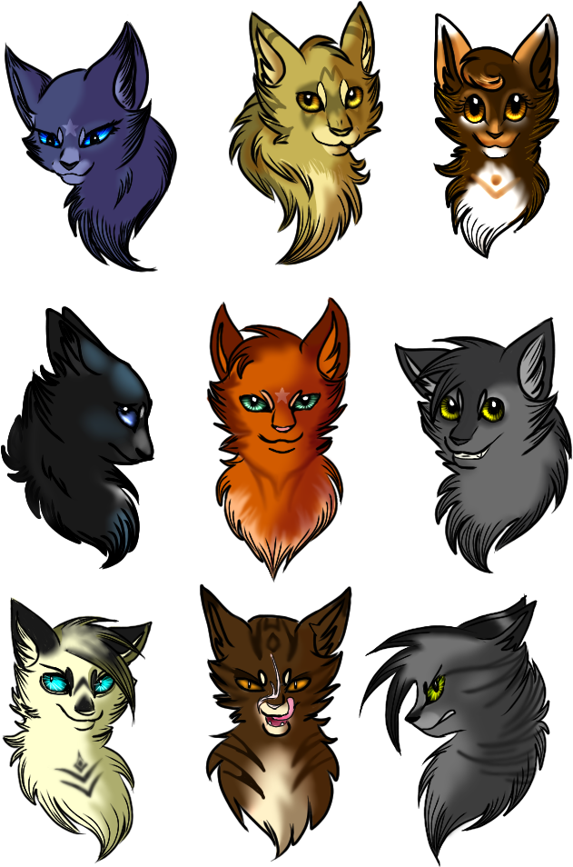 Warrior Cats Sketch Dump By Kitty-skeleton - Drawing (768x1024)