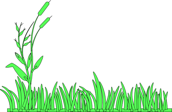 Grass Border Clip Art (600x391)