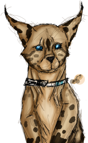 Caracal/serval Skylar {sketch Art Trade} By Wanderingsketch - Companion Dog (400x501)