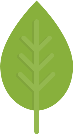 Tree Icon - Leaf Icon (512x512)
