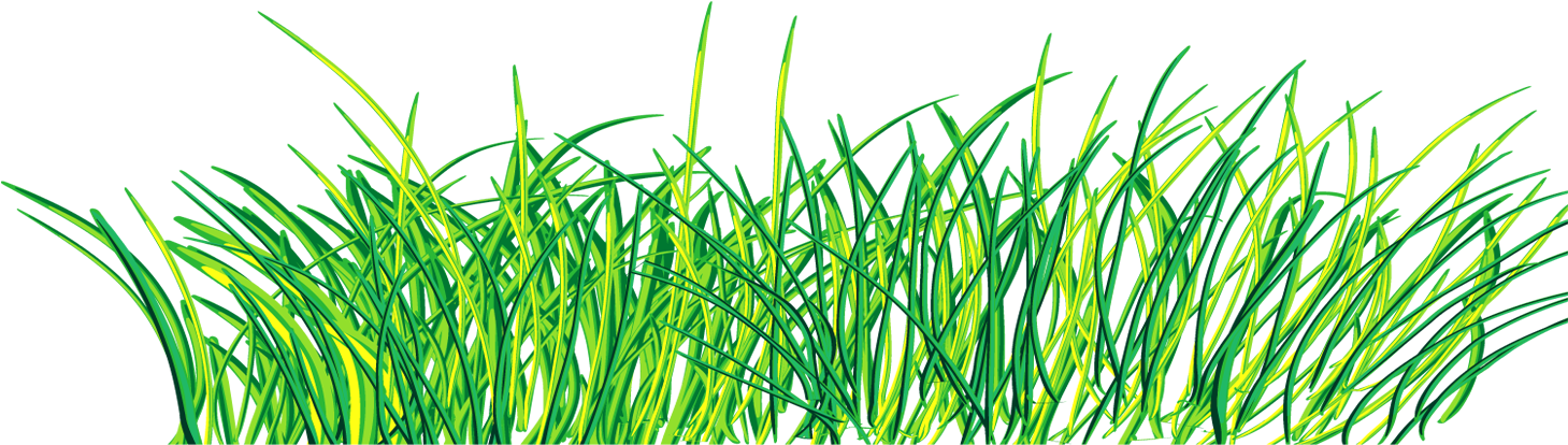 Green Clip Art - Green Grass Png Pinting (1675x797)