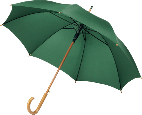 Umbrella - Bunnings Umbrella (490x400)