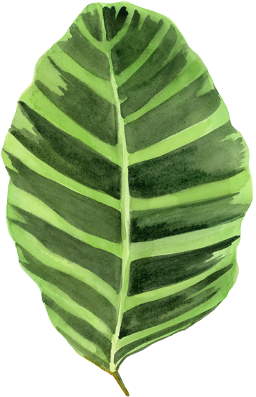 Lindsay Gardner Art & Illustration - Art (504x641)