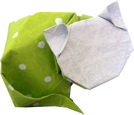 Coisas De Pano E Papel - Dew (436x377)