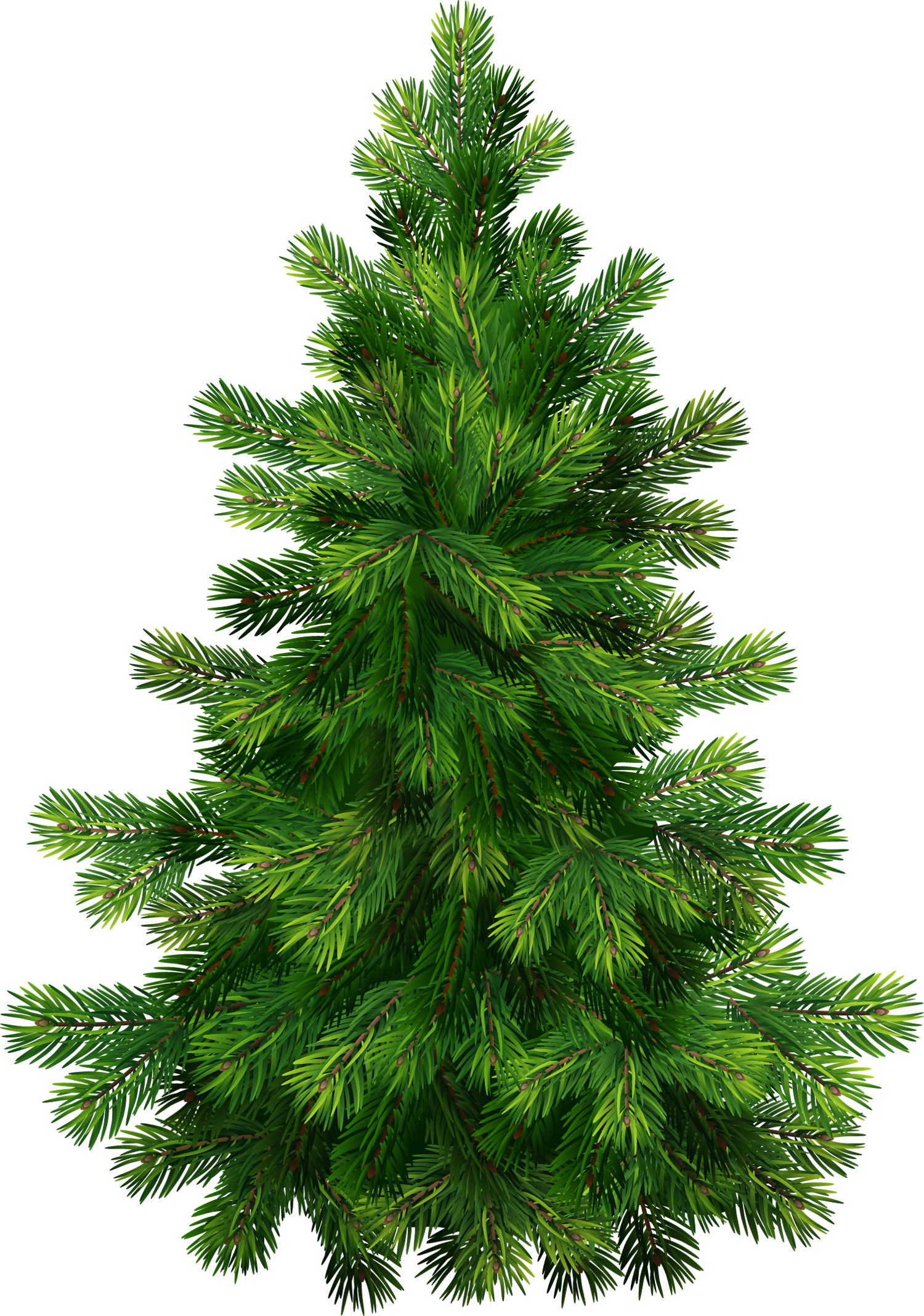 Christmas Tree Free Png Image - Natal Dan Tahun Baru (1500x2136)