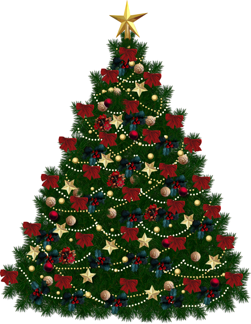 Christmas Tree Png - Christmas Tree Transparent Background (823x1064)
