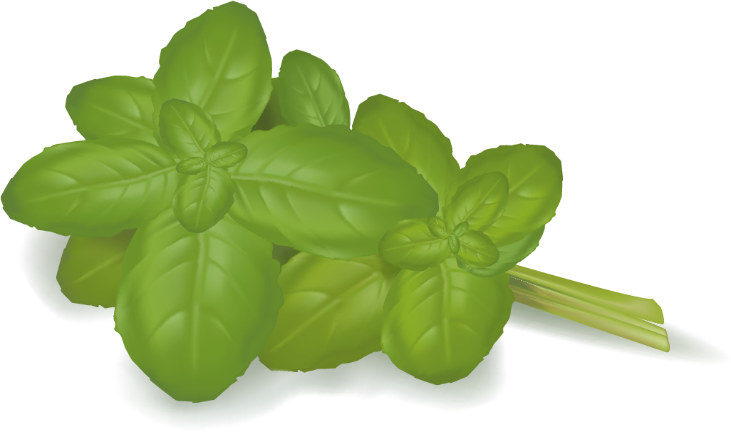 Vegetable Stock Photography Food Illustration - Vegetable (1123x746)