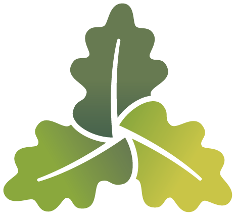 Holy Trinity Rathmines - Holy Trinity Sunday Lutheran (480x480)