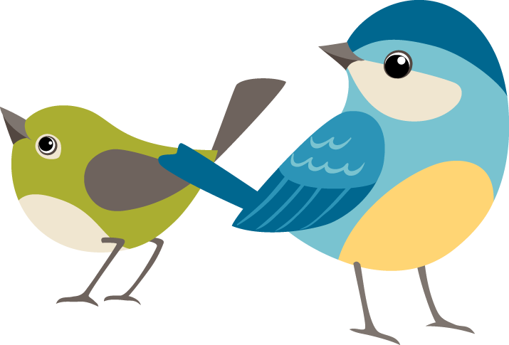 Swifts - Confetti (715x485)