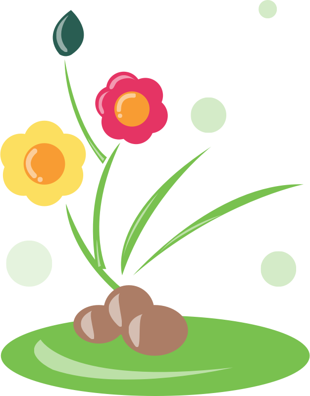 Flower Border Clip Art - Beautiful Plants Clip Art (626x800)