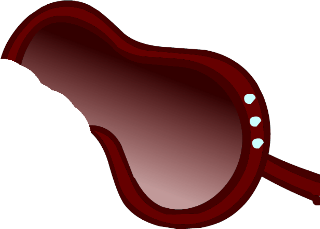 Diva Sunglasses 2013 - Club Penguin Diva Sunglasses (1061x754)