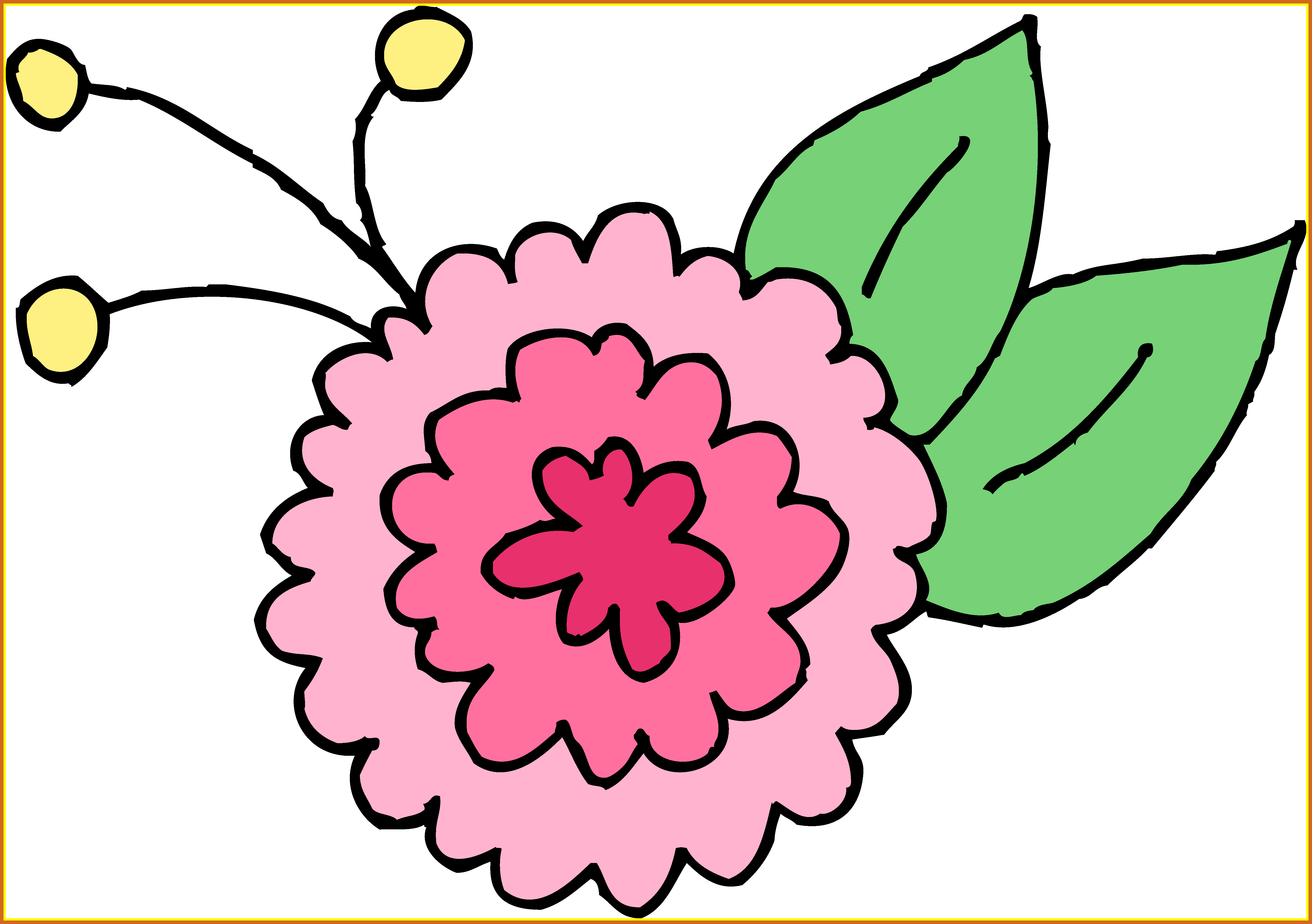 Chrysanthemum Flower Chrysanthemum Flower Vector Stunning - Chrysanthemum Clip Art (5738x4042)