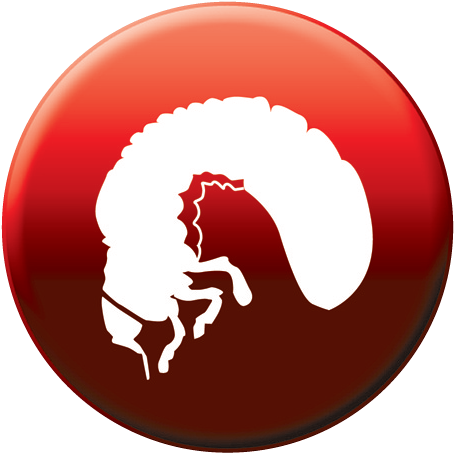 Fertilizers - Insecticides - Fungicides - Herbicides - Canada Flag Icon (496x499)