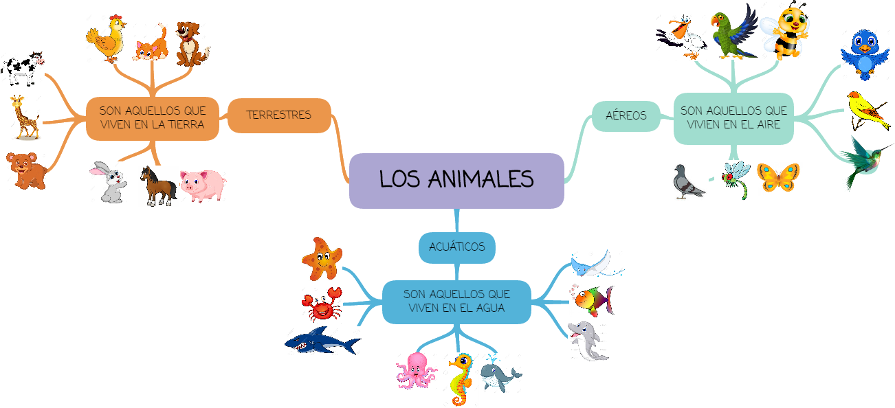 Los Animales Acuáticos Son Aquellos Que Viven En El - Animales Terrestres Y Acuáticos (1302x594)