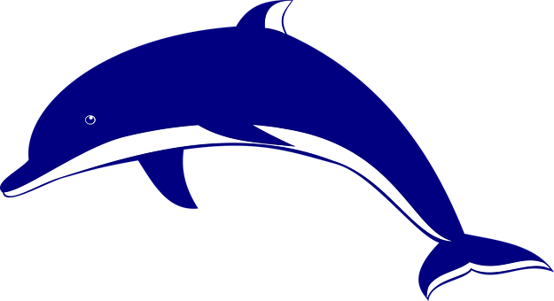 Animales, Delfín, Mar - Dolphin Vector Png (625x340)