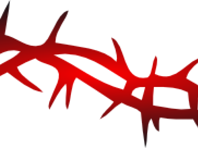 Barbed Wire Clipart Red - Spine Rose Png (640x480)
