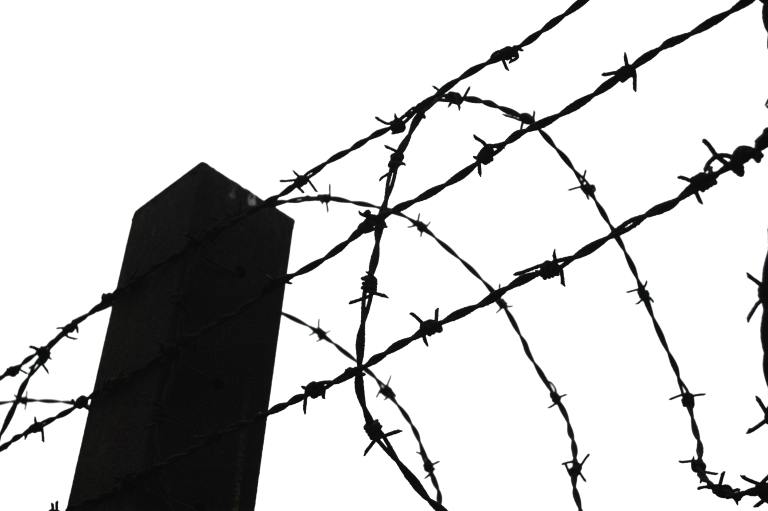 Download Barbwire Png Clipart - Barbed Wire Silhouette Png (768x511)