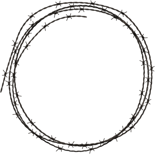 Barbed Wire - Circle (500x495)