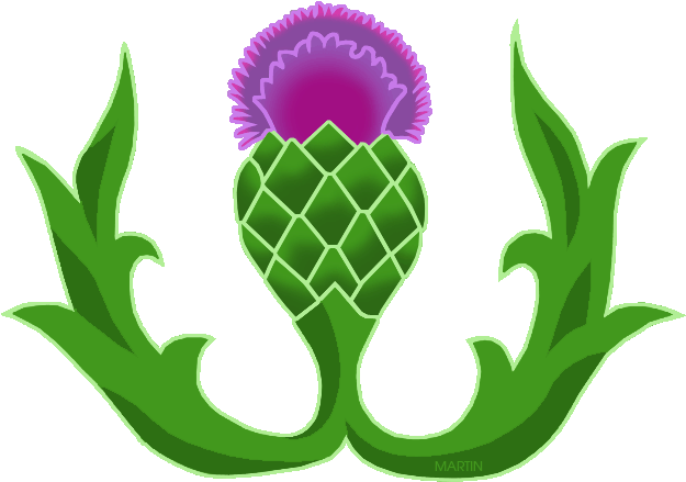 Thistle Clipart - Thistle Clip Art Transparent (648x476)