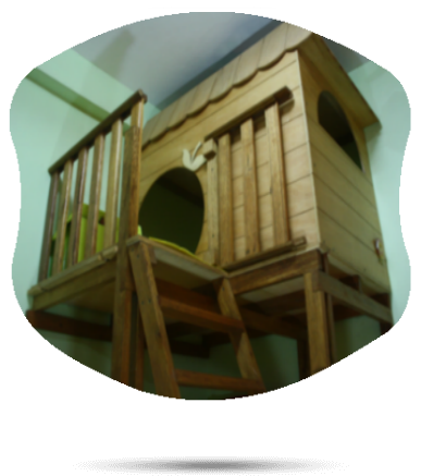 Consúltenos, Nuestra Especialidad En Estimulación Temprana - Plywood (401x457)