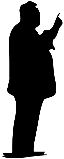 Presenting Silhouette, Person, Present, Business, Presenting - Person Silhouette (320x640)