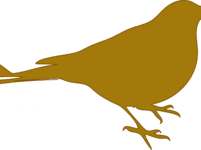 Finch Clipart Gold Bird - Circle With Line Through (640x480)