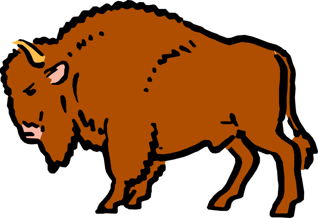 Búfalo Cartoon Livre De Direitos Vetores Clip Art Ilustração - Buffalo Clip Art (1019x700)