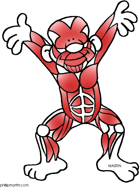 Vector Cartoon Clip Art Illustration Of An Angry Muscular - Muscular System Clipart (507x648)