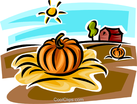 Pumpkin In Farmers Field Royalty Free Vector Clip Art - Pumpkin Patch Cartoon (480x363)