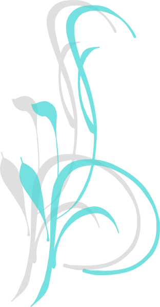 Swirls Clipart Coral - Portable Network Graphics (312x597)