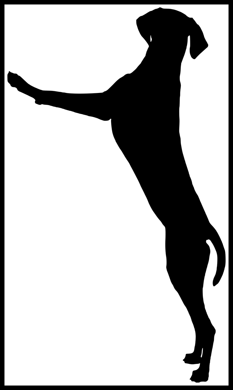 Dog Collars Dog Collars Clipart Amazing Dog Standing - Clip Art (795x1330)